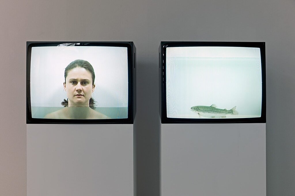 Galerie Gisèle Linder - installation view
