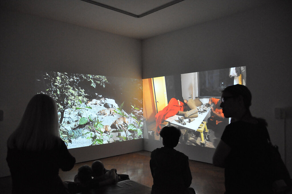 installation view – How to sleep among wolves 1
